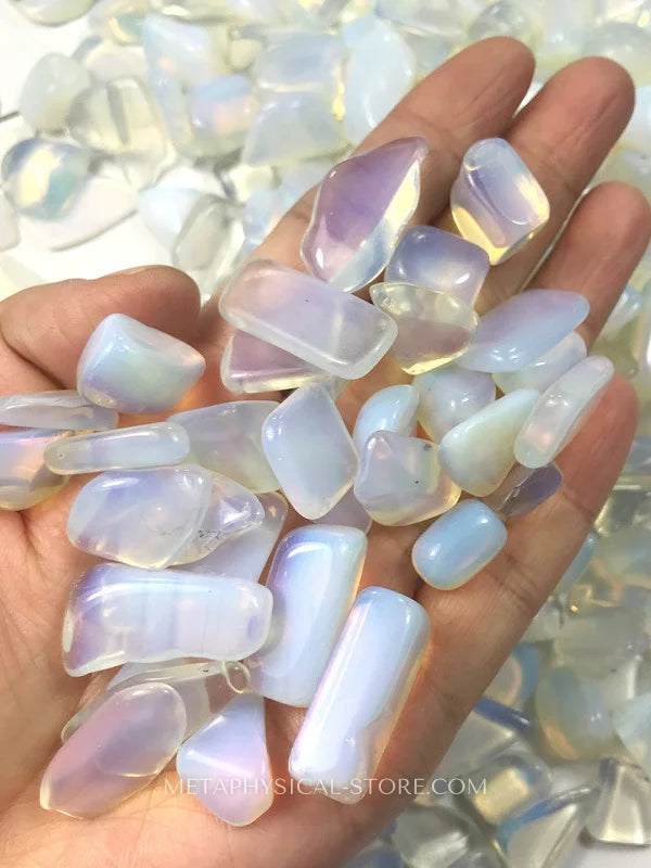 Polished Opal - Opal