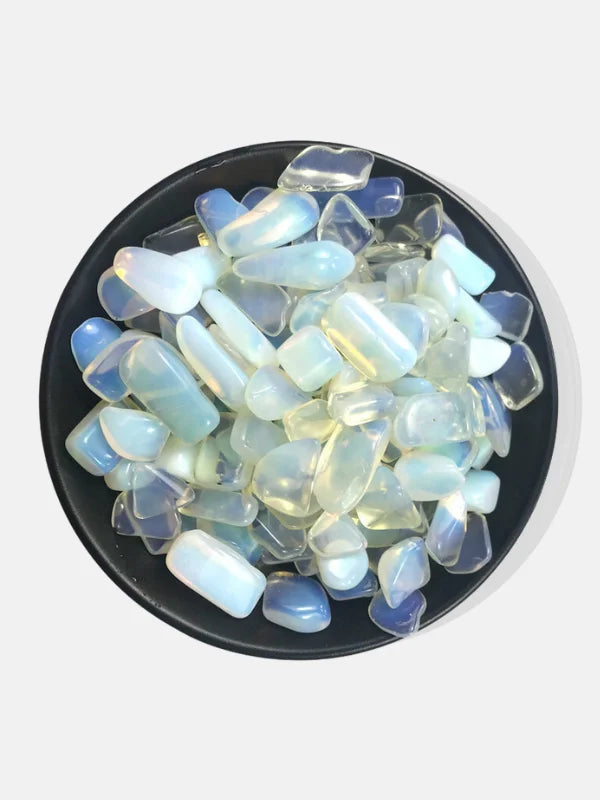 Polished Opal - Opal