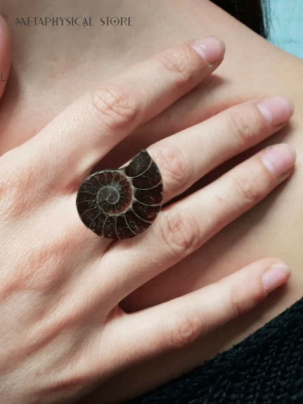 Ammonite ring