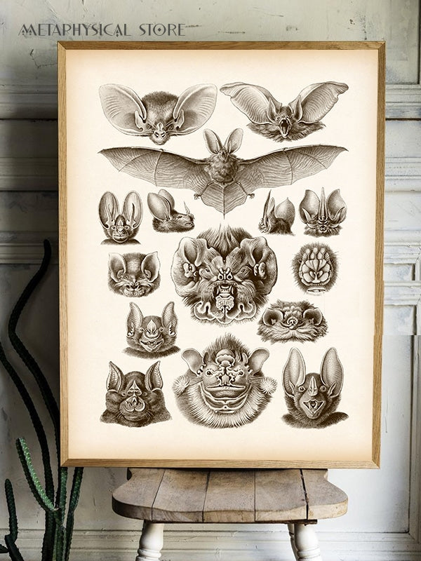 Bat wall art