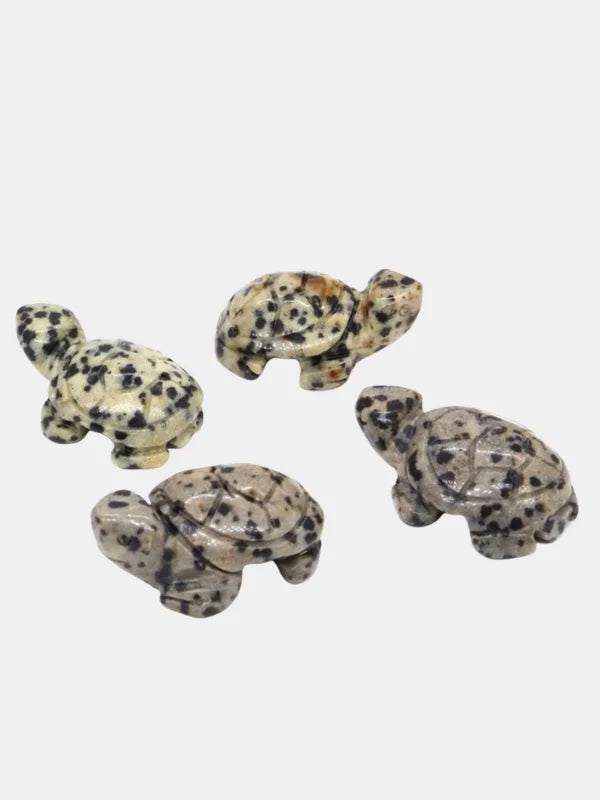 Dalmation Jasper Turtle