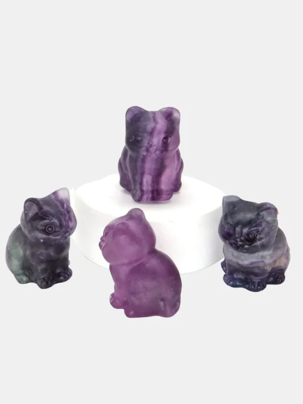 Fluorite Cat