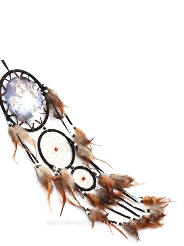 Native Dreamcatcher