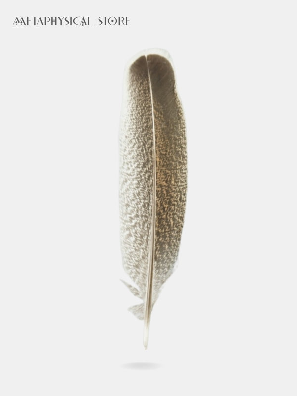 Smudging feather