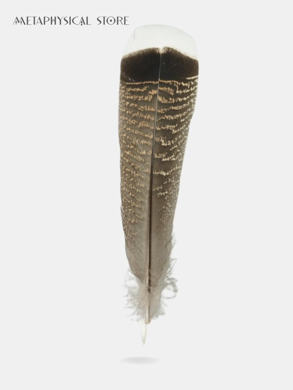 Smudging feather