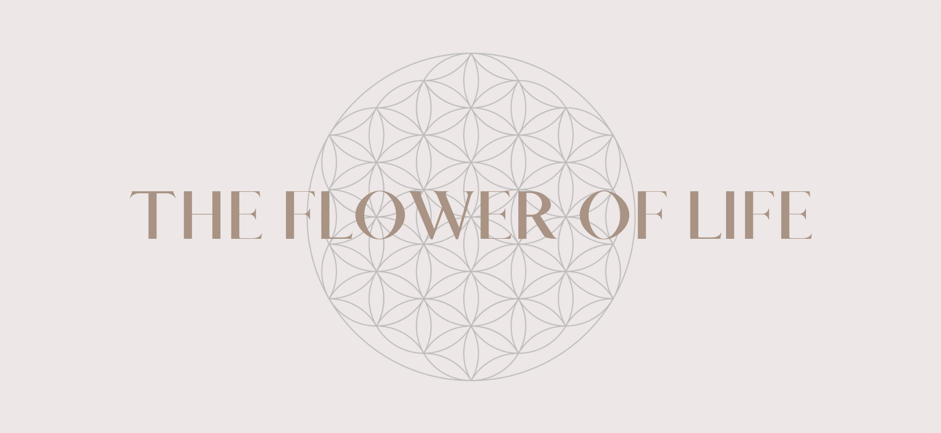 flower of life
