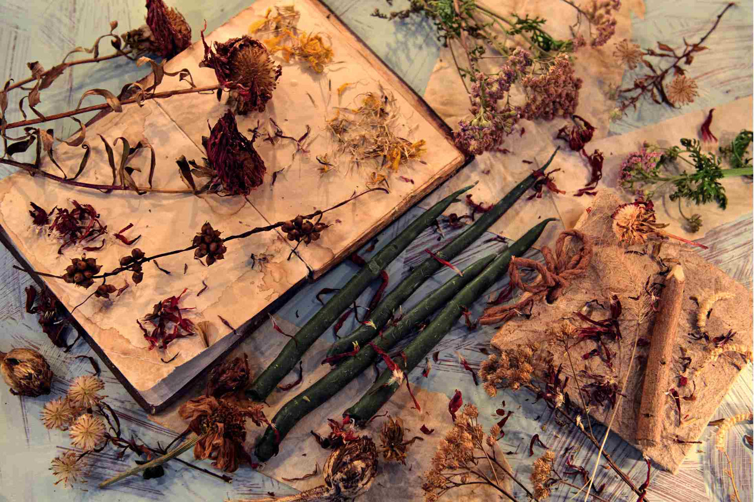 Pagan Vs Wicca Differences between Pagan and Wicca Metaphysical Store
