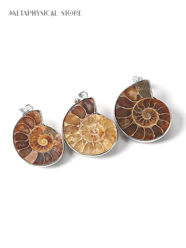 Ammonite necklace