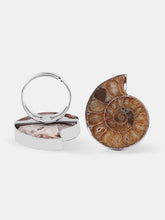 Ammonite ring