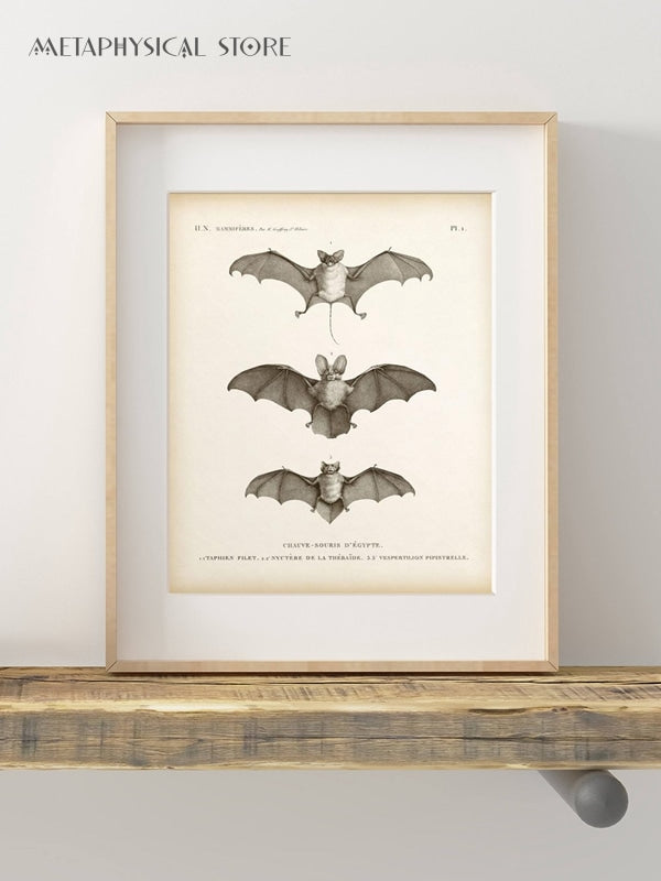 Bat wall art