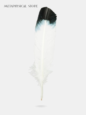 Smudging feather